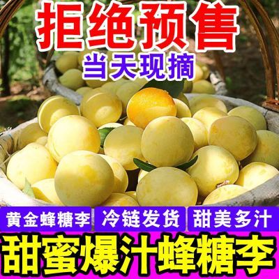 爆甜】正宗黄金蜂糖李子当季新鲜水果应季四川脆甜脱骨李批发整箱