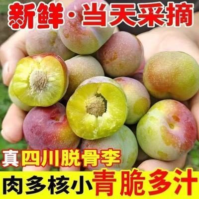 【彩箱】正宗四川脱骨李半边红脆李当季新鲜水果孕妇土李子批发