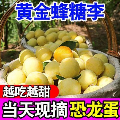包甜】正宗黄金蜂糖李当季新鲜水果应季四川脆甜脱骨李子批发整箱