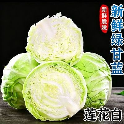 绿甘蓝云南露天新鲜包菜约5斤扁圆 3.54元 - 线报酷