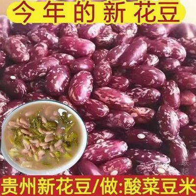 今年新花豆农家自种贵州四季豆干货豆米贵州花豆新豆