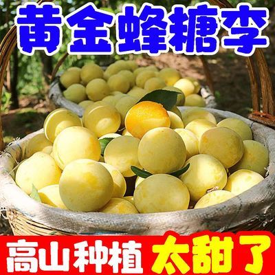 彩箱精装】贵州黄金蜂糖李子当季新鲜水果应季四川脆甜脱骨李批发