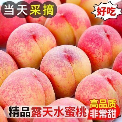 正宗精选水蜜桃毛桃脆桃新鲜桃子当季应季水果孕妇批发优质现摘