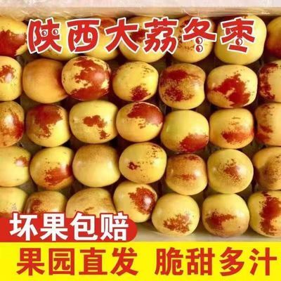 【产地直发】陕西大荔冰糖冬枣特大果现摘水果批发鲜果冬枣大果甜