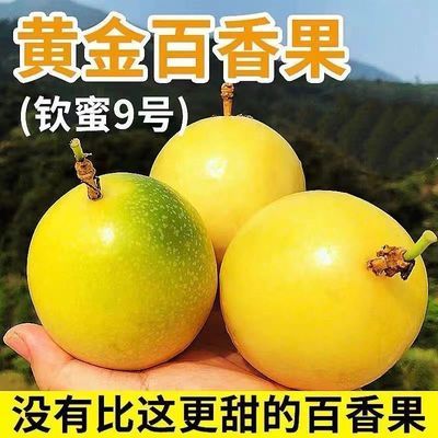 钦蜜九号黄金百香果大果正宗海南应季新鲜孕妇水果批发黄金百香果