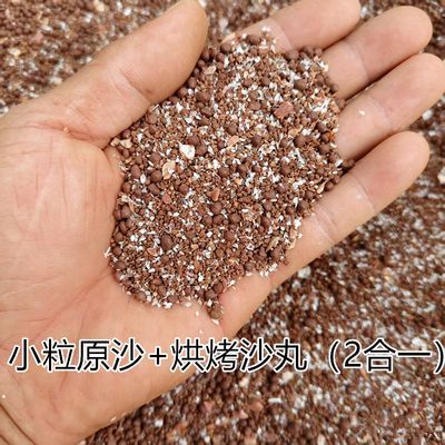 鸟用保健砂补钙沙红土砂鹦鹉文鸟磨嘴磨牙红土球小粒细砂砂丸沙球