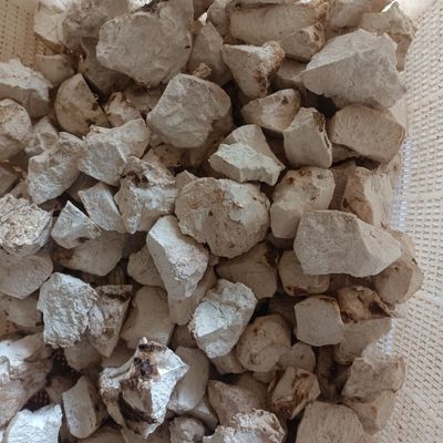 正宗云南茯苓 无硫茯苓自然白茯苓晒干农家直销直发优惠商品图片