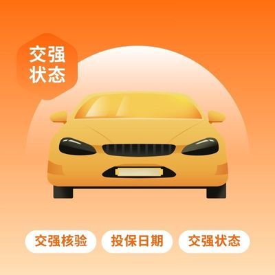 全国汽车车况 保险状态 车辆状态 车五项