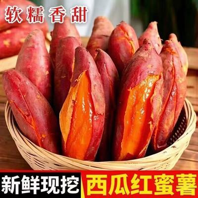 9斤蜜薯今年新品正宗沙地西瓜红蜜薯新鲜红薯板栗番薯红心糖心