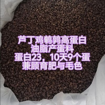 芦丁鸡鹌鹑高产饲料专用产蛋粮高蛋白下蛋鸡饲料开口料鹌鹑900