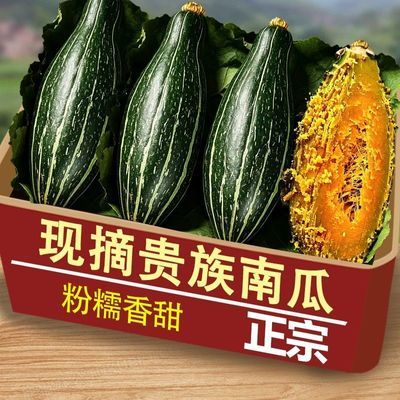 正宗贝贝南瓜黑色贵族南瓜贵族贝贝南瓜金丝南瓜粉糯香甜辅食代餐