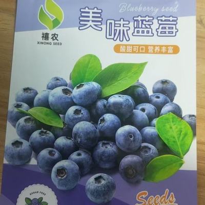 蓝莓果树种子盆栽地栽纯甜南方北方庭院阳台种植蓝莓种子