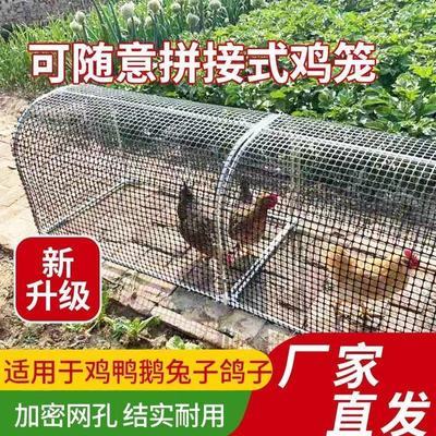 走地鸡笼隧道养鸡养鸡户庭院菜地户外溜达铁丝网兔子跑道鸡舍养殖