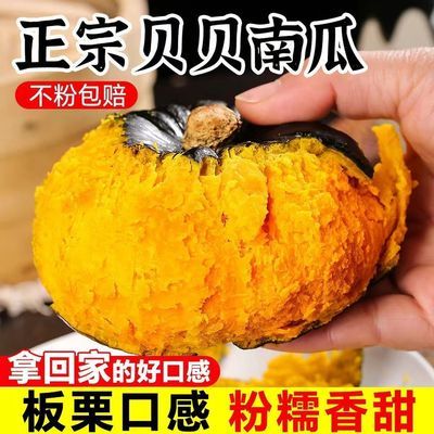 正宗贝贝南瓜板栗味新鲜老南瓜辅食粉糯香甜小南瓜现摘整箱批发