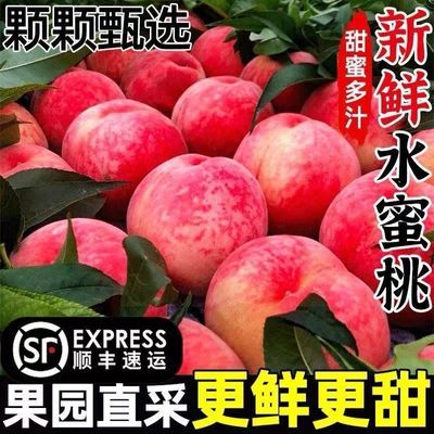 【顺丰包邮】正宗山西头茬水蜜桃现摘爆甜毛桃大桃子应季孕妇水果优惠商品图片