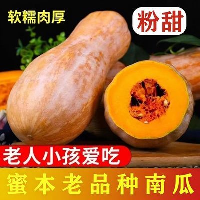 【欣飞果源】云南老南瓜甜糯老品种蜜本南瓜宝宝辅食净重5/8.8斤
