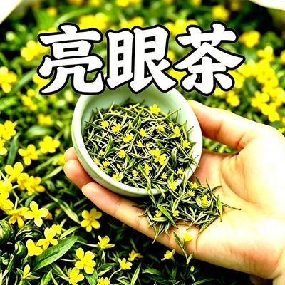 【眼睛看不清】明目护眼茶眼涩眼干模糊飞蚊养眼近光决明子茶