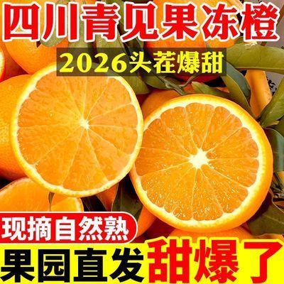 【批发价】正宗四川青见果冻橙青见柑橘应季鲜果产地直供新鲜水果