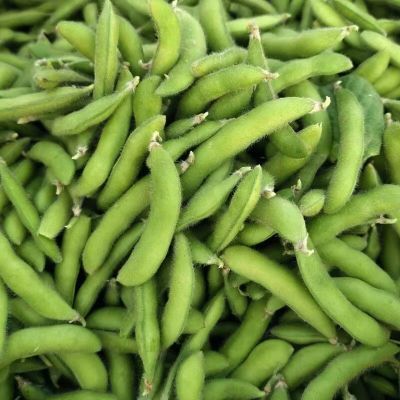 应季现摘新鲜蔬菜毛豆带壳毛豆新鲜青豆农村鲜嫩毛豆角江苏特产优惠商品图片