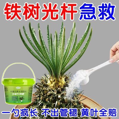 急救】铁树专用营养液叶子发黄干枯卷叶倒伏促生根发芽生长新型肥