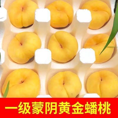 正宗山东蒙阴纯甜黄金蜜毛蟠桃子应季水果新鲜扁桃脆软黄毛桃当季