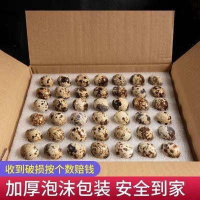 农场现检鹌鹑蛋新鲜生鲜农家散养杂粮商用带壳儿童辅食批发优惠商品图片