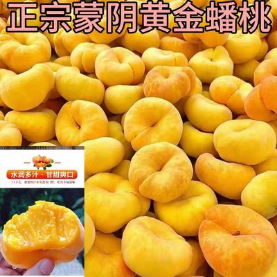山东正宗蒙阴黄金纯甜蟠桃新鲜水果黄毛脆软黄心彩虹应季当季扁桃