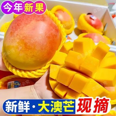 【澳芒新鲜】应季水果澳芒苹果芒特大芒果凯特芒彩虹芒水果批发