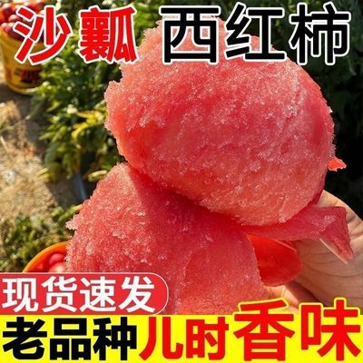 甘肃沙瓤番茄生吃西红柿新鲜自然熟沙瓤大番茄现摘水果蔬菜粉柿子优惠商品图片