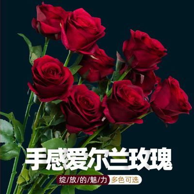 仿真手感玫瑰花仿真花假花摆设装饰家居客厅绢花束餐桌花摆花艺