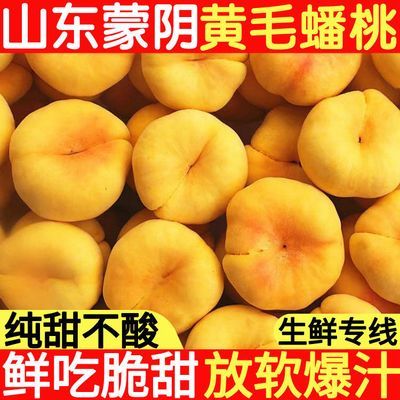 正宗山东蒙阴纯甜黄金蜜毛蟠桃子应季水果新鲜扁桃脆软黄毛桃当季