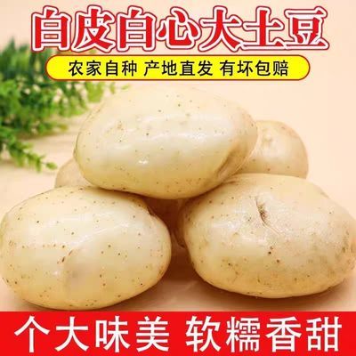 2026年甘肃定西正宗白皮白心土豆新鲜当季洋芋白心马铃薯蔬菜应季