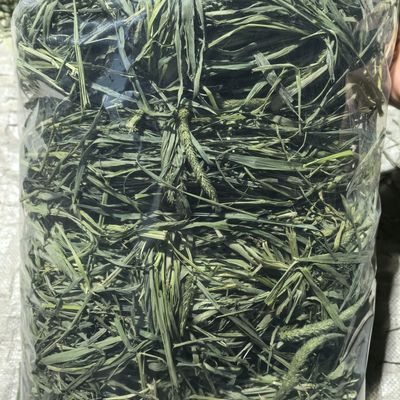 26年晒干头茬提摩西草小捆装袋方便拿取兔兔荷兰猪龙猫等宠物主食