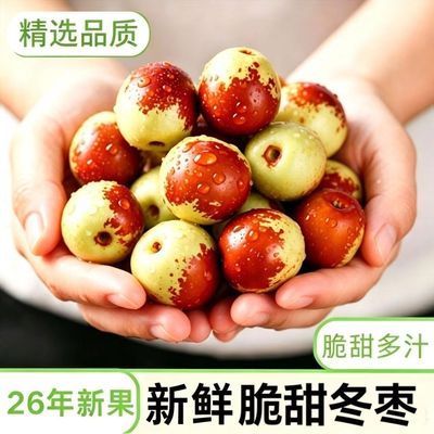 现摘云南冬枣陕西当季新鲜大荔水果鲜枣脆甜大枣青枣孕妇整箱