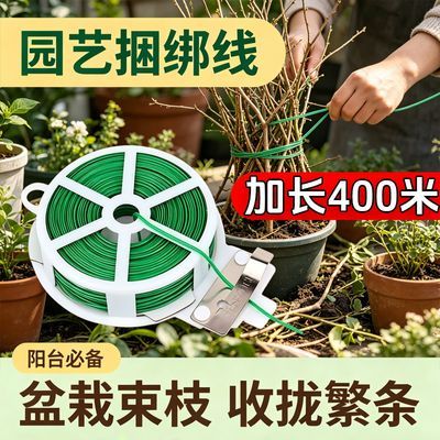 400米园艺捆扎线加粗线铁丝爬植物葡萄扎带捆绑带花艺铁线丝定型