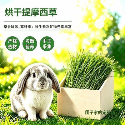 【精品箱装】26头茬兔子豚鼠适用饲料烘干提摩西箱装提摩西草烘干优惠商品图片