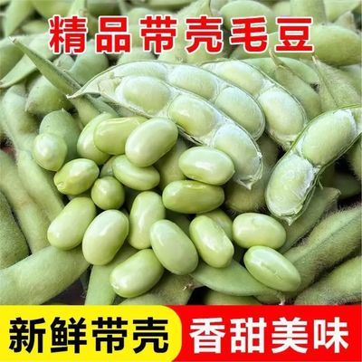 精品带壳毛豆新鲜香甜