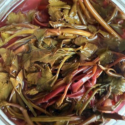 贵州特产新鲜芹菜酸菜野芹菜酸菜细叶芹菜旱地红杆细叶芹优惠商品图片