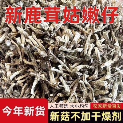 新货鹿茸菇嫩芽小仔条散装无干燥剂鹿耳嫩仔菇煲汤炒菜食材菌菇
