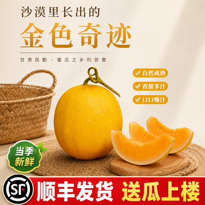民勤蜜瓜甘肃沙漠蜜瓜金红宝黄河蜜瓜孕妇当季新鲜水果哈密瓜批发