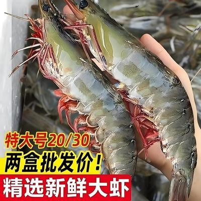 【港城食刻】海水大虾特大号新鲜冷冻海虾盐冻白虾低脂虾整箱批发