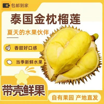 【泰国金枕】精选果园进口新鲜树熟软糯榴莲整个鲜果现摘现货包邮优惠商品图片