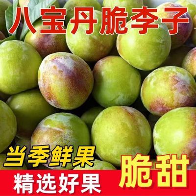 5斤八宝丹李子青脆李应季甜李子新鲜水果小红宝石太阳李甜李子