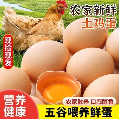 30枚装最新鲜散养土鸡蛋草鸡蛋自然高品质新鲜鸡蛋大个