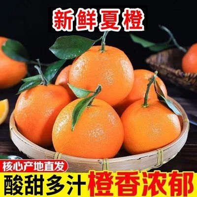 【当季鲜橙】5斤湖北秭归夏橙当季新鲜橙子应季水果酸甜多汁整箱