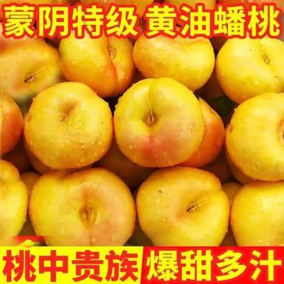 团现货现摘新鲜蒙阴黄蟠桃当季孕妇脆甜多彩虹油桃子山东时令水果