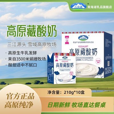 青海高原藏酸奶整箱210ml*10盒/1箱100%生牛乳发酵高原风味牛奶优惠商品图片