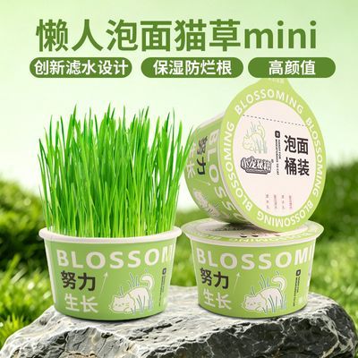 小宠秘籍猫草懒人罐头无土盆栽种植化毛草水培去毛球助消化猫零食