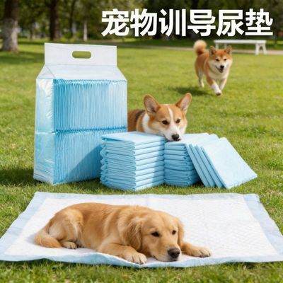 宠物厕所尿垫猫狗专用训导防漏尿片一次性垫子优惠商品图片