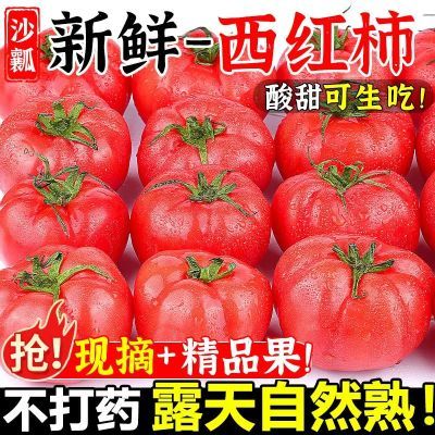 新鲜现发云南高海拔农户自种产地发沙瓤西红柿当季自然熟番茄蔬菜